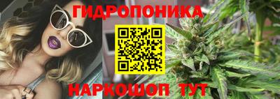 дмт Обь