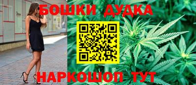 дмт Обь