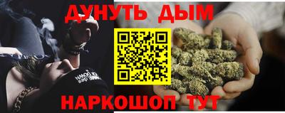 дмт Обь
