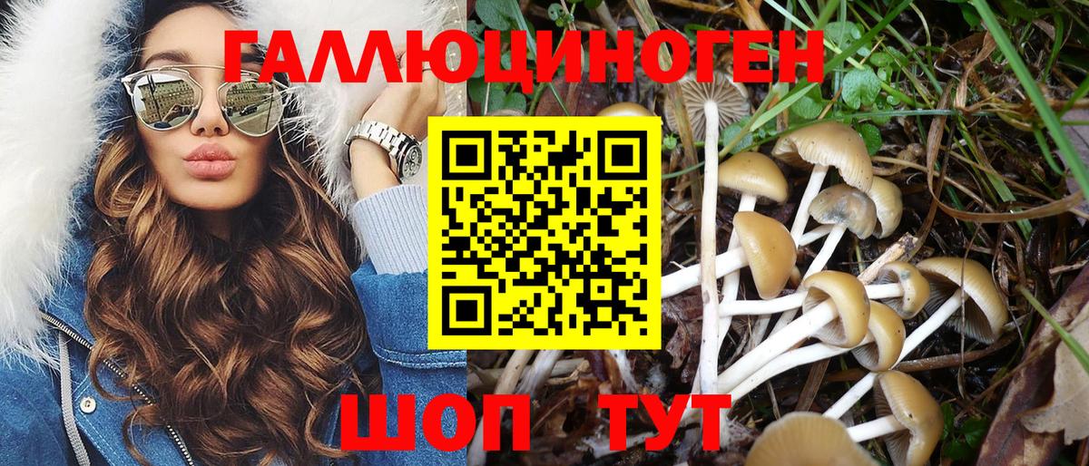 Псилоцибиновые грибы прущие грибы Стрежевой