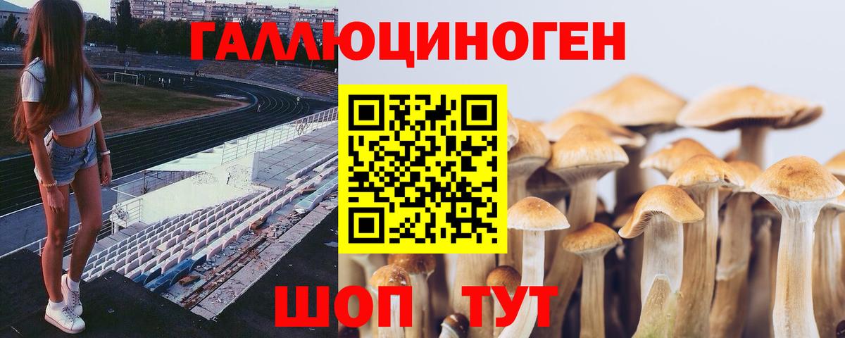 Псилоцибиновые грибы прущие грибы  Псилоцибиновые грибы Cubensis  Вход с VPN  Стрежевой 